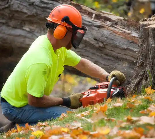 tree services Belle Plaine